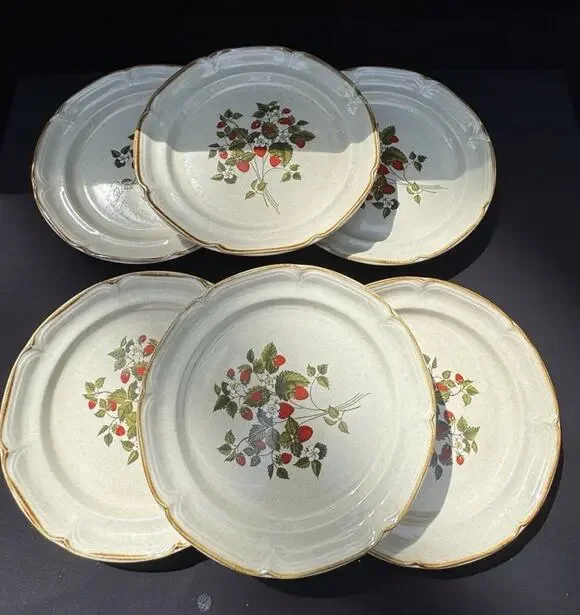6 Vintage 1960’s Endura Collection LA FRAISE Strawberries 10.5