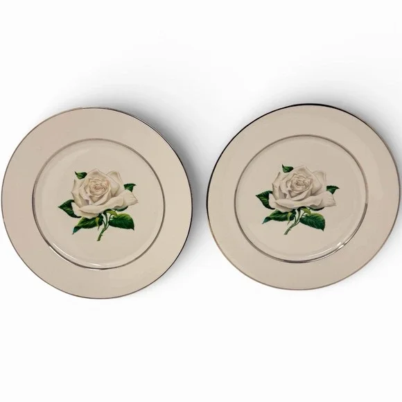 Set of 2 Embassy Vitrified White Rose -‎ Dinner Plate - 10 1/8