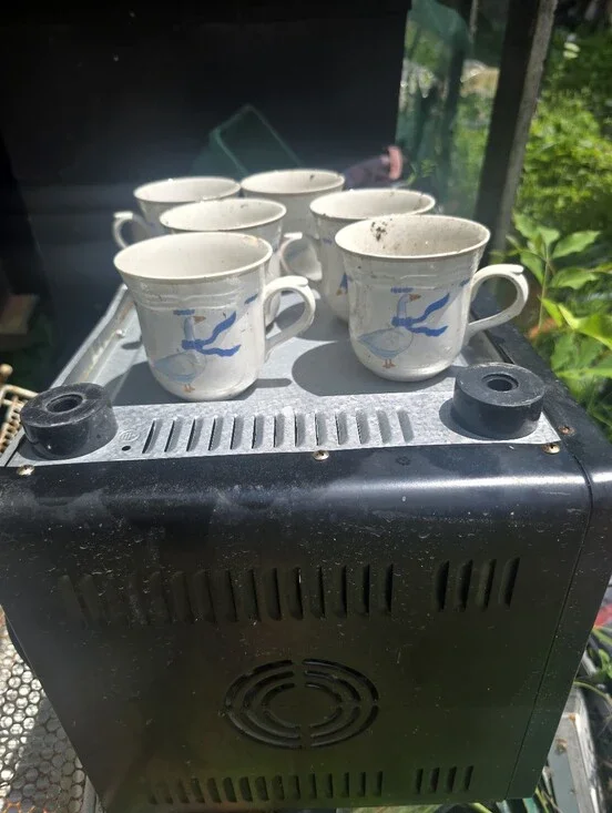 Goose Dishes With Royal Blue Accents 6 Coffee Cups , USED Condition