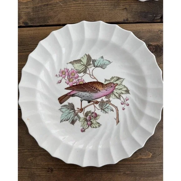 Copeland Spode HOUSE FINCH England  9