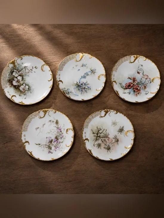 Limoges France Hand-Painted Floral Antique Plates with Gold Boarder | Set of 5