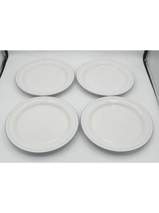 Sky Blue Pinstripes by Lenox 8-1/2 IN Salad Plates Set of 4 Pattern: L SKBP FLAW