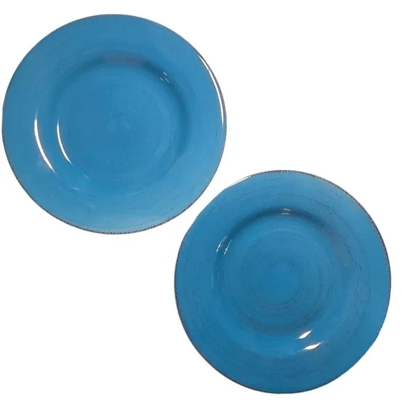 Tag Set of 2 Teal Blue Stoneware Dinner Plates Rustic‎ Glazed Dishware perfect