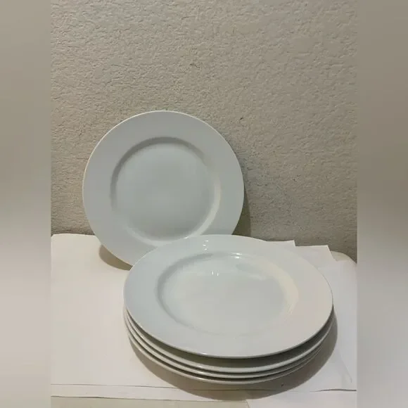 Pier 1 imports luminous White porcelain  dinner Plate 11” (Set of 5) G6