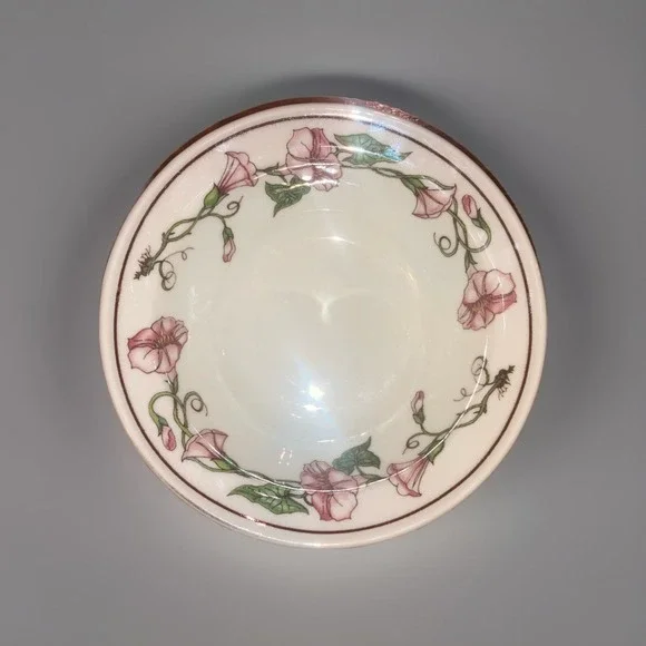 Vintage  Bowl  by Shenango‎ China Morning Glory