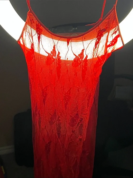 Sheer Red Lace Slip Dress. Leg avenue