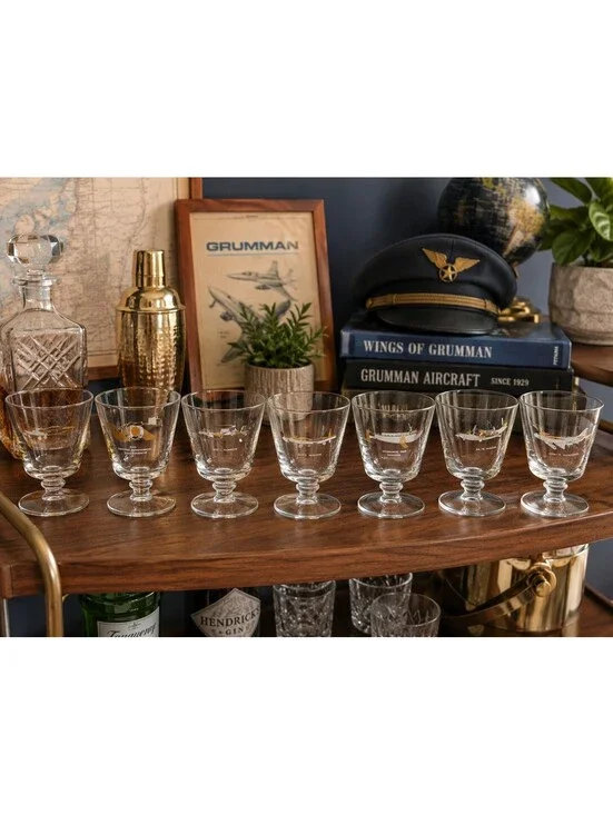 Vintage Grumman Aircraft Engineering Cocktail Glasses Set of 7 Aviation NASA