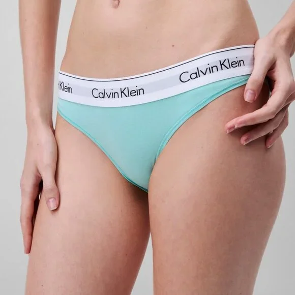 #473 Calvin Klein Women's Modern Cotton Bikini Underwear F3787 - Beau Blue