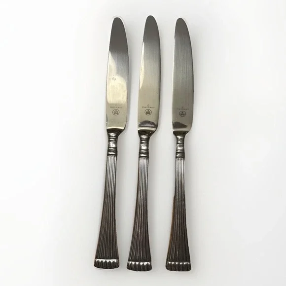 Pfaltzgraff Schematics Stainless Glossy‎ Ridges (3) Stainless 18/8 Dinner Knife