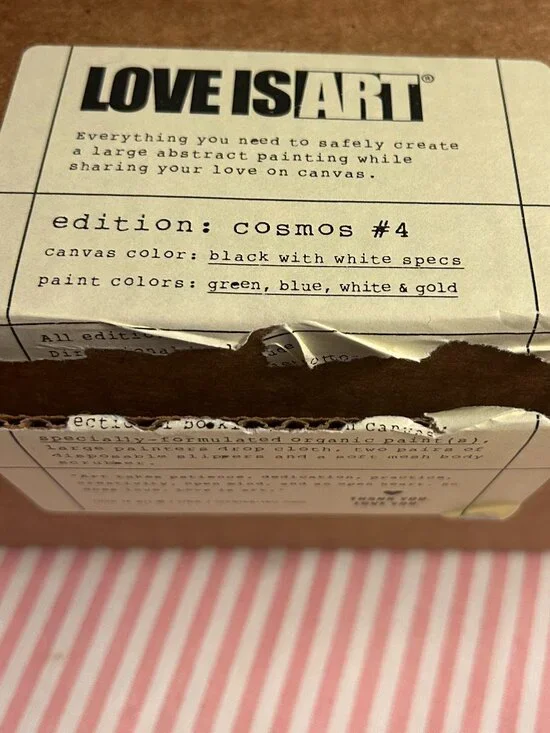 *OPEN BOX* Love Is Art Couples Intimate Paint Kit Special Edition: Cosmos #4