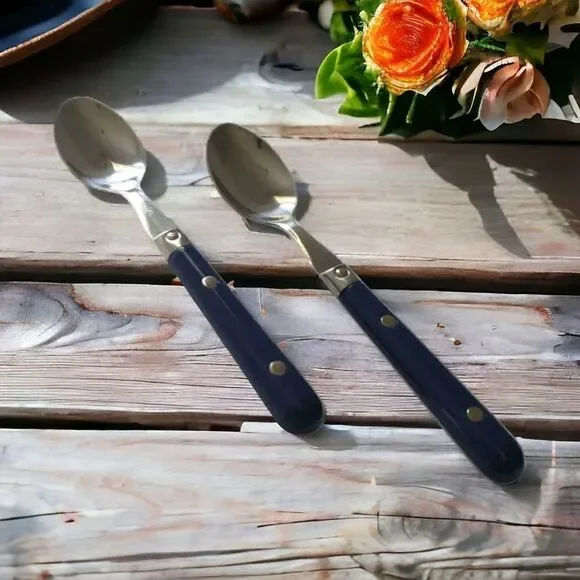 Vtg ANACAPA Teaspoon Set Pair Blue Handle Stainless Steel Retro Melamine Acrylic