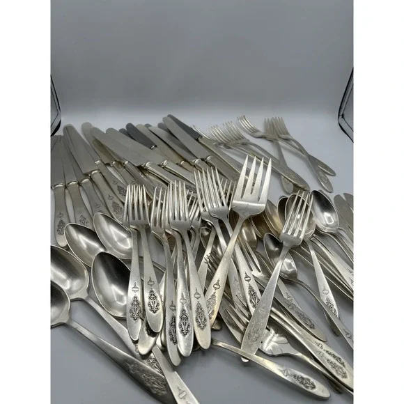 64 Pc ONEIDA BIRD of PARADISE COMMUNITY PLATE 1923 SILVERWARE Forks Knives Spoon