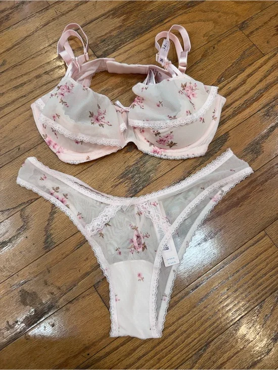 Victoria's Secret Pale Pink Floral Sheer Lace Bra & Bikini Set