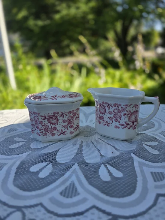 Vintage Sycrouse China - Mayflower Cream And Sugar Dish