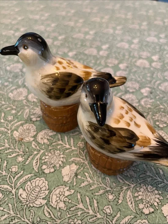 Seagull Salt and Pepper Shakers - Brown and White Birds