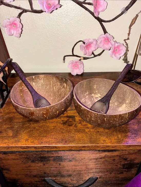 Handcrafted Coconut Bowl Set with Wooden Spoons - Natural Brown