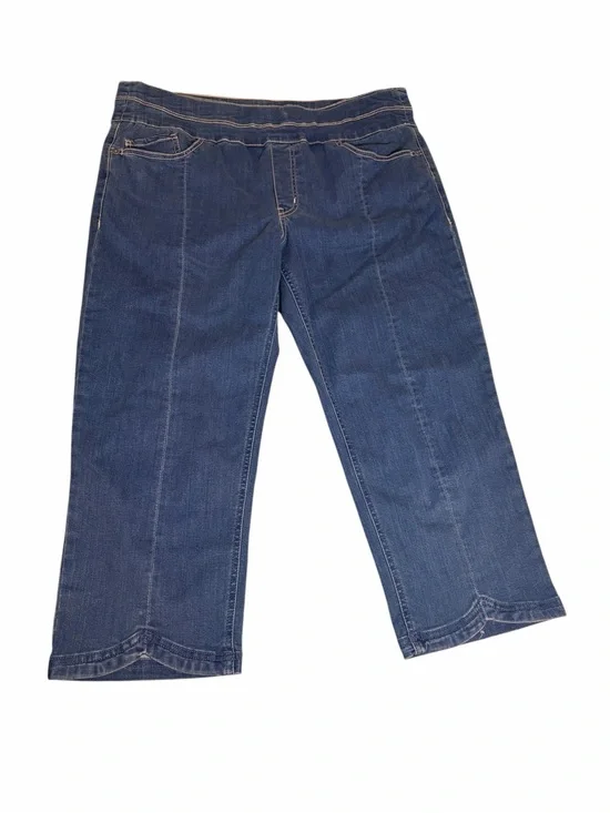 reCreation Dark Rinse Straight-Leg Cropped Stretch Pull On Jeans Plus Size 14