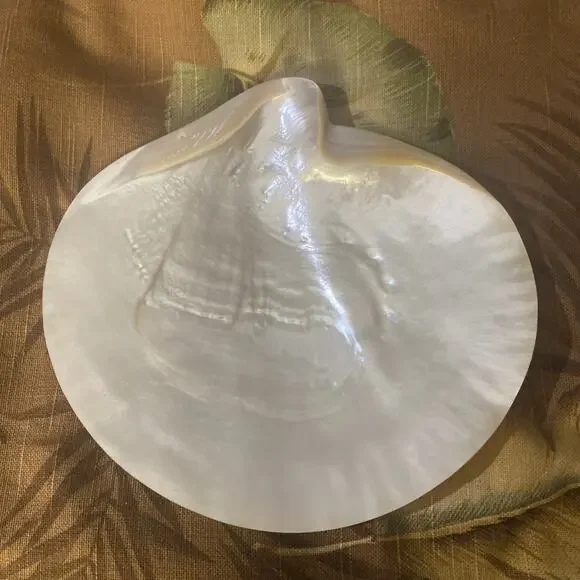 Vintage Exquisite Natural Mother of Pearl Shell Footed Caviar Serving Dish 8.5
