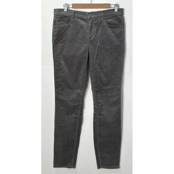 NWT Women's Loft Modern Skinny Corduroy‎ Chino Pants Sz 8/29  29