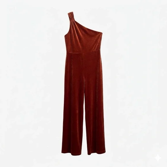 Banana Republic Velvet One Shoulder Jumpsuit PM Petite M Dark Spiced Rum Rust