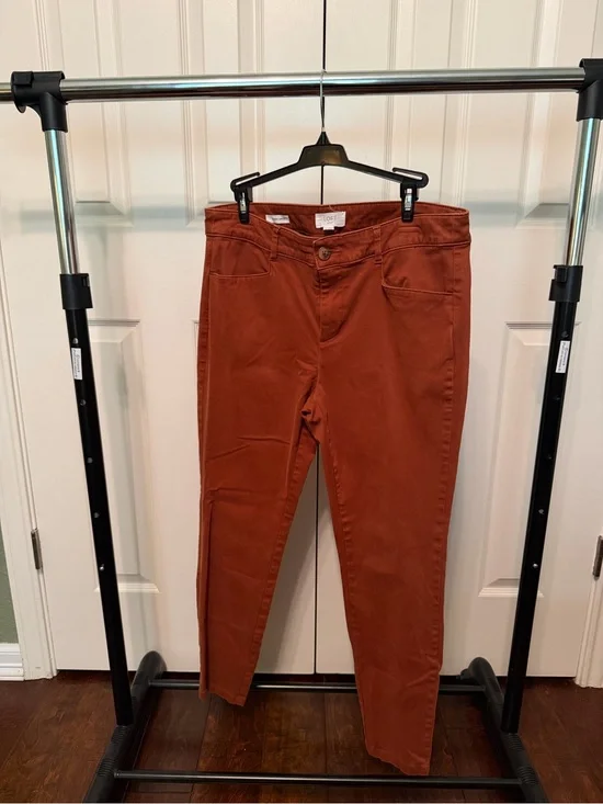 Loft Rust Orange Skinny Ankle Pants