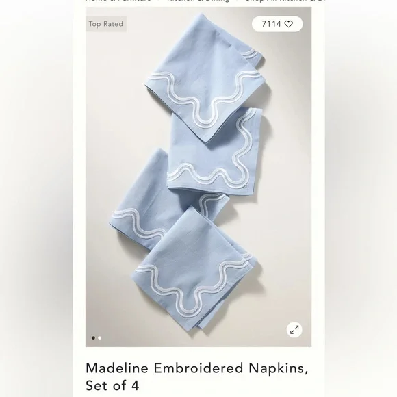 Anthropologie Madeline Embroidered Napkins - Light Blue with White Trim