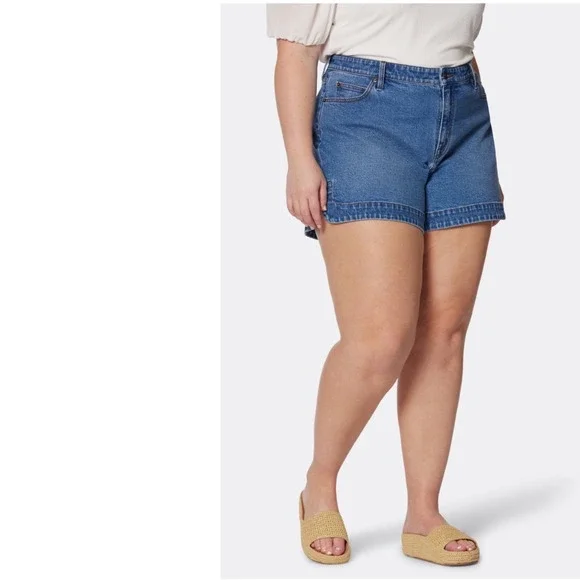 Joie Denim‎ Tatum Dolphin Shorts Womens 20W Blue Excellent High Rise Notched Hem