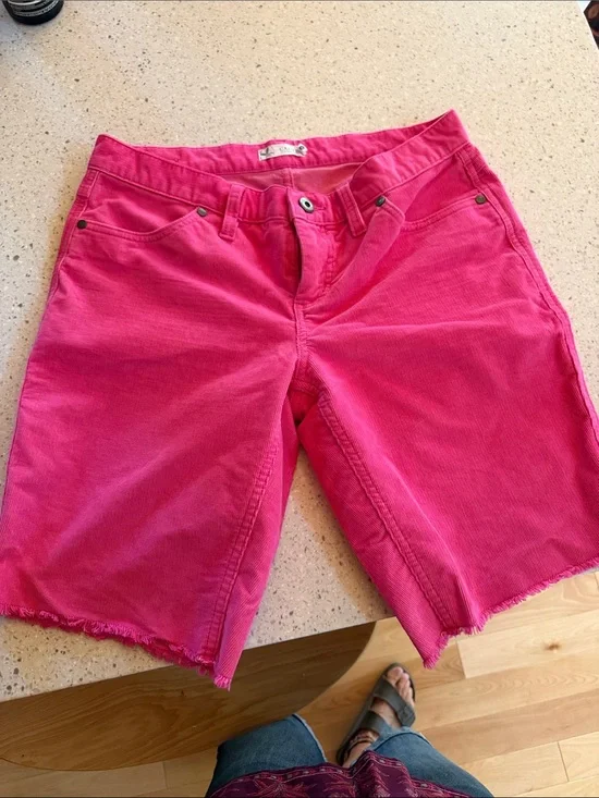 Carve Designs Oahu 10” shorts