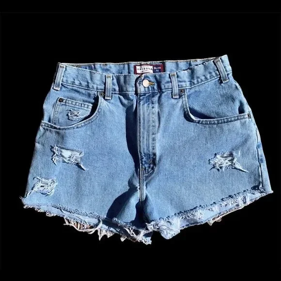Vintage Arizona Jean Company High Waisted Denim Shorts