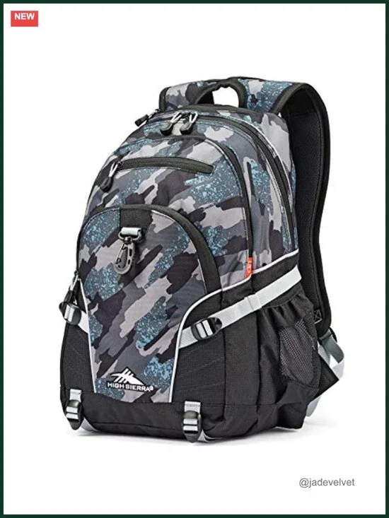 High Sierra Loop Backpack with Tablet Sleeve for Travel Work