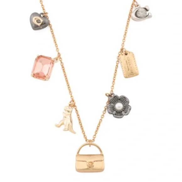 COACH Mini Tabby/ Rexy & Iconic Charms  CZ Crystals Necklace