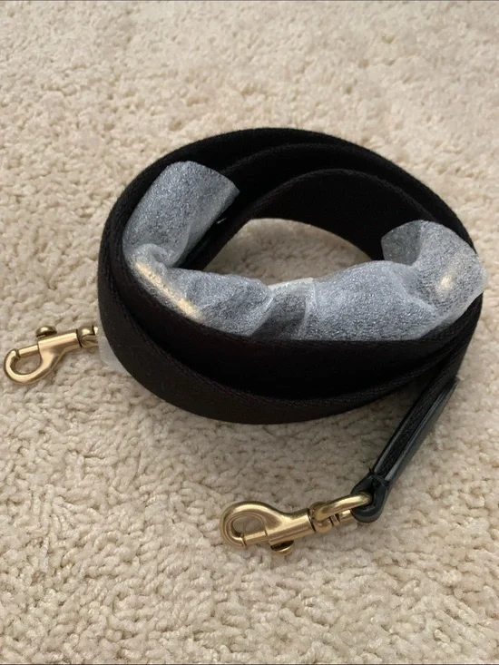 Coach web strap