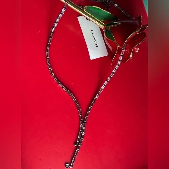 COACH Necklace,Black and pink Coach necklace
