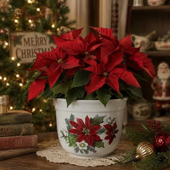 New England Pottery Cache Pot Poinsettia Christmas  Planter Made In Portugal 7