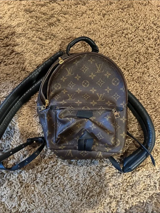 Louis Vuitton Monogram Mini Backpack in Brown and Black