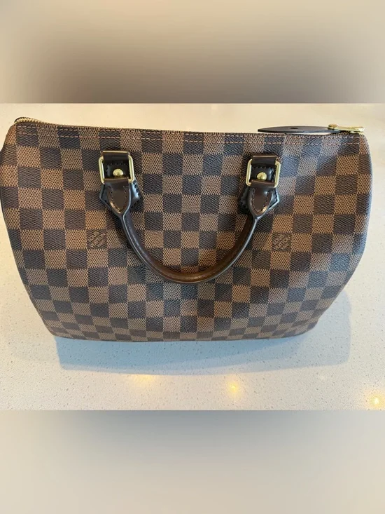 Louis Vuitton Damier Ebene Speedy 30 & Key Pouch with Gold Hardware