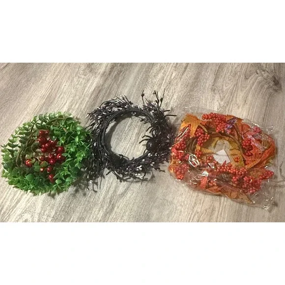 Seasonal Mini Wreath Bundle‎ Halloween Spider Autumn Maple Christmas Berry 8in