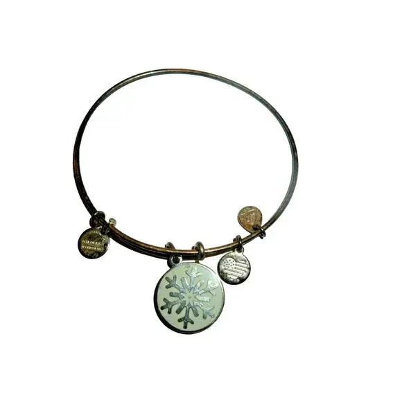 Alex‎ And Ani 2015 Snowflake Charm Bracelet Silver Tone Bangle