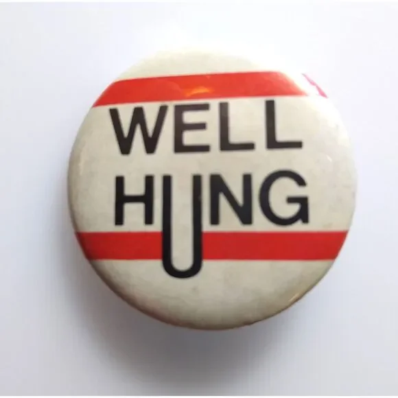 Well Hung Vintage Pinback Button Badge Pin Metal Retro