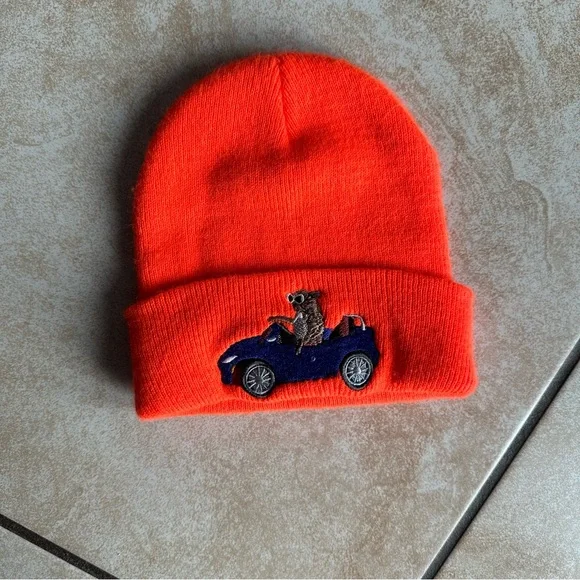 Orange Kids Beanie with frenchie driving Car