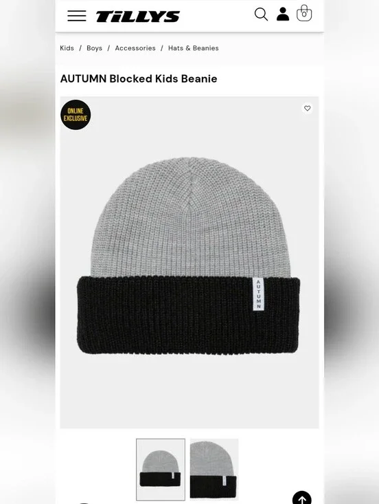 Autumn Cashmere Kids Two-Tone Beanie in Gray and Black Nwot