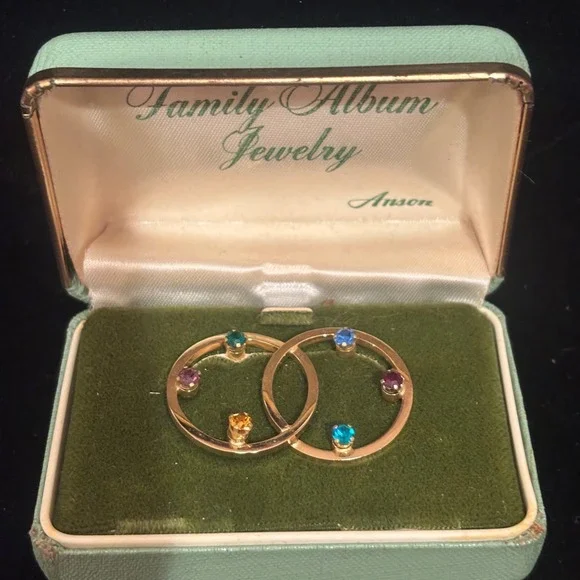 Vintage Anson Family Album Jewelry Gold Tone Multi Stone Double Circle Brooch