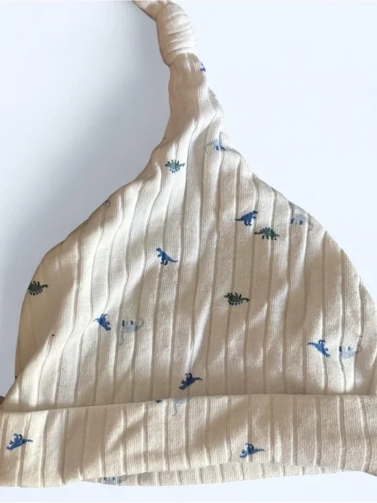 Cream Baby Knot Hat with Blue and Green Dino Print