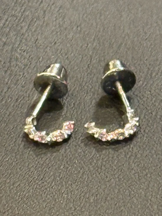 Petite Hoop Earrings