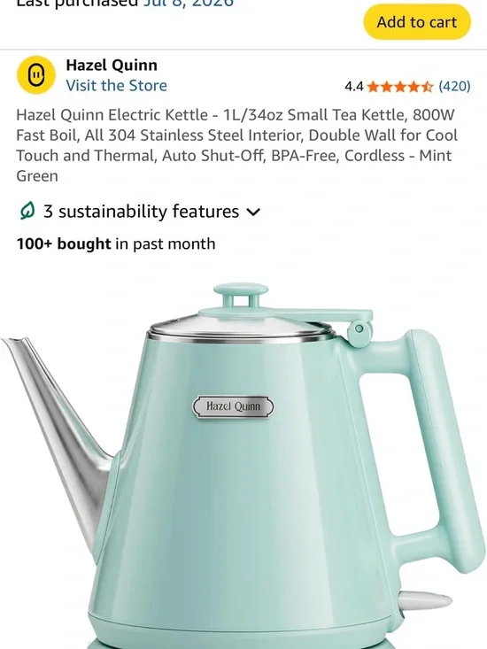 Mint Green Electric Kettle – Cordless Home Kettle