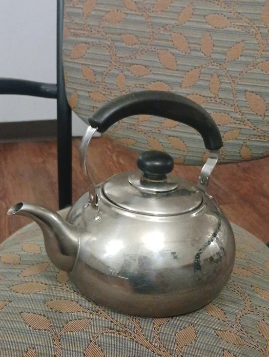Potobelo Stainless Steel Teapot Kettle with Black Handle - Home Kitchen