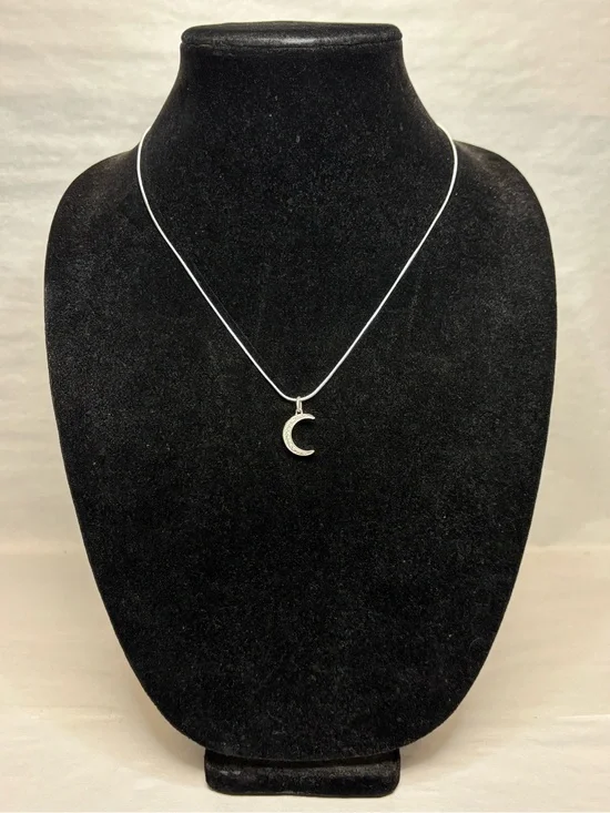 Sterling Silver Crescent Moon Pendant on 20in Sterling Chain #5999