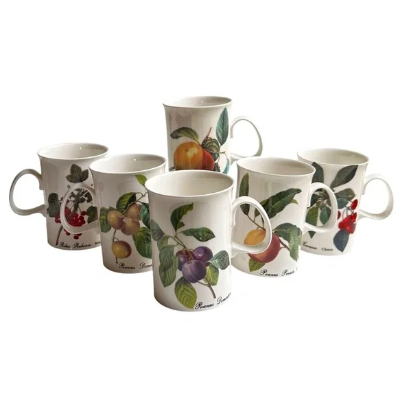 Set of 6 Dunoon Fruit Blenheim Mugs Bone China England