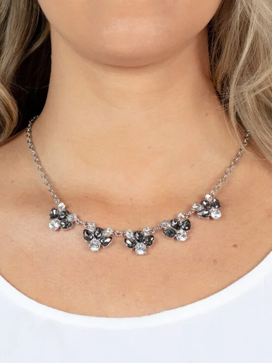 Paparazzi Necklace (NS432)