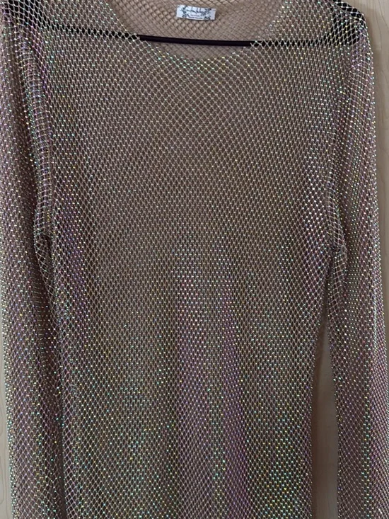 Free People Iridescent Mesh Long Sleeve Top - Nude with Rainbow Sheen